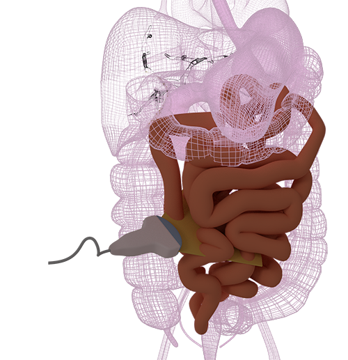 Modul Gastrointestinaltrakt